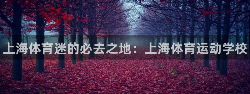 尊龙官方正版app娱乐下载