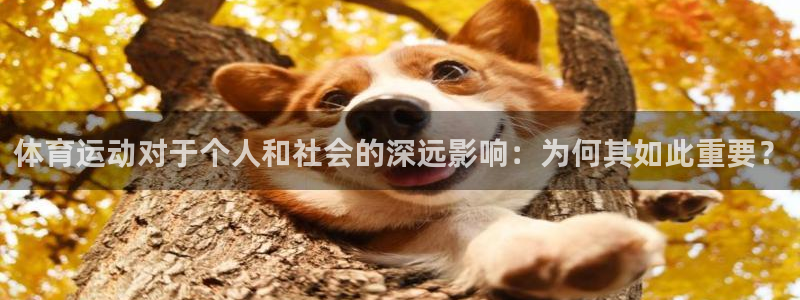 尊龙官网下载平台APP：体育运动对于个人和社会的深远