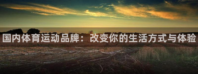 尊龙官网下载娱乐：国内体育运动品牌：改变你的生活方式