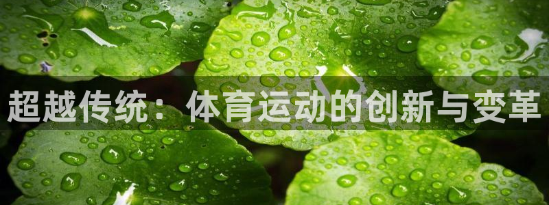 尊龙官网下载招商电话号码：超越传统：体育运动的创新与