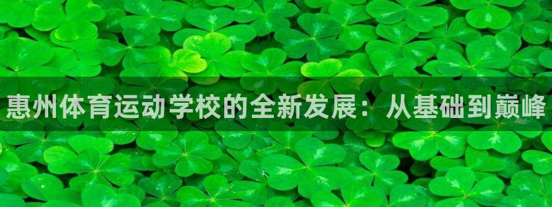 尊龙官方正版app集团