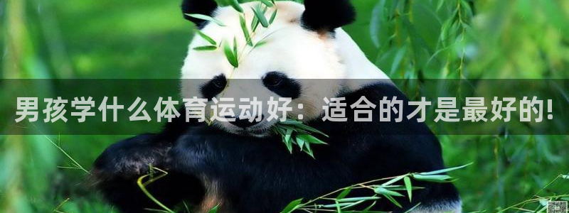 尊龙官网下载联系电话：男孩学什么体育运动好：适合的才