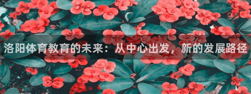尊龙官方正版app娱乐下载：洛阳体育教育的未来：从中心出发，