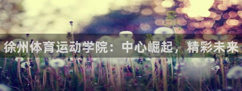 德国尊龙官方正版app集团：徐州体育运动学院：中心崛