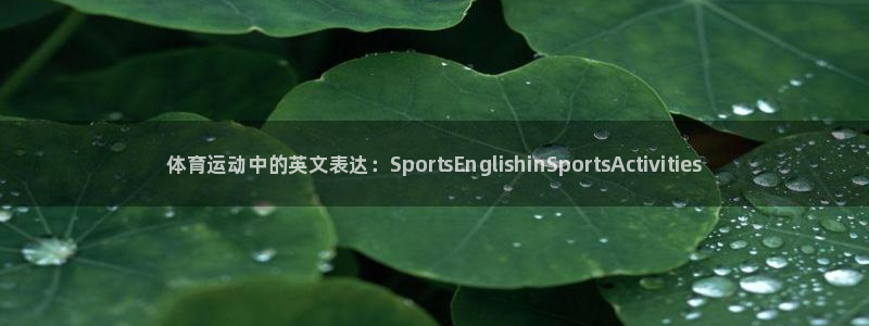 尊龙官网下载注册：体育运动中的英文表达：SportsEngl