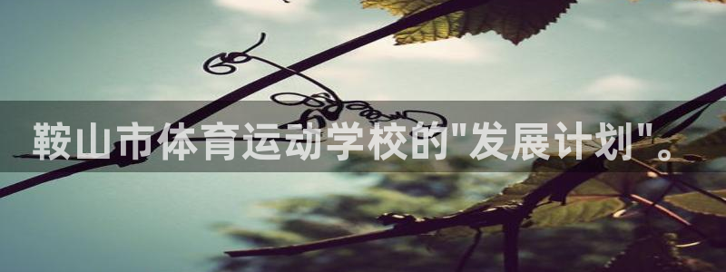 尊龙官方正版app科技：鞍山市体育运动学校的\