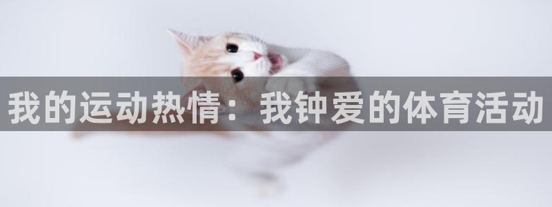 尊龙官网下载平台：我的运动热情：我钟爱的体育活动
