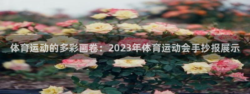尊龙官方正版app娱乐是那个系列的台子：体育运动的多