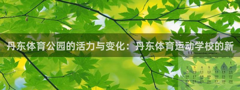 尊龙官网下载：丹东体育公园的活力与变化：丹东体育运动
