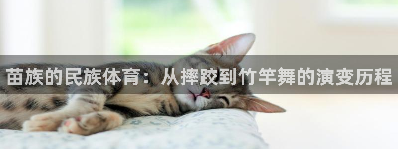 尊龙官网下载平台注册要钱吗安全吗：苗族的民族体育：从