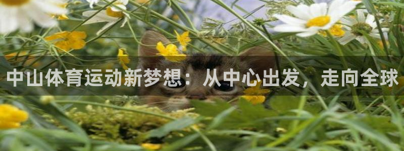 尊龙官网下载软件