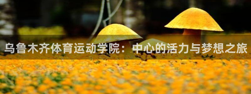 尊龙官网下载官方客服电话：乌鲁木齐体育运动学院：中心