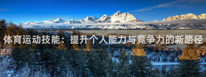 尊龙官网下载平台是正规平台吗：体育运动技能：提升个人能力与竞