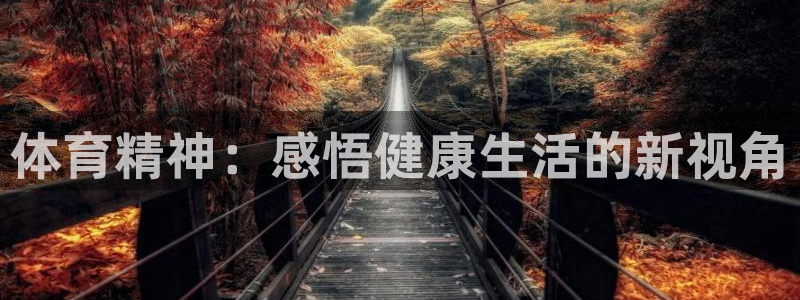 尊龙官网下载：体育精神：感悟健康生活的新视角