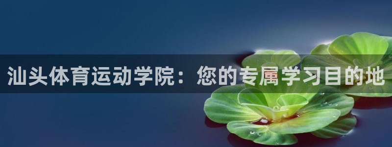 尊龙官方正版app神州