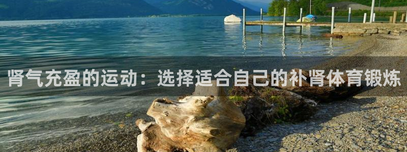 德国尊龙官方正版app集团